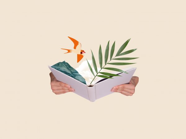 Institut Ramon Llull – subvencions