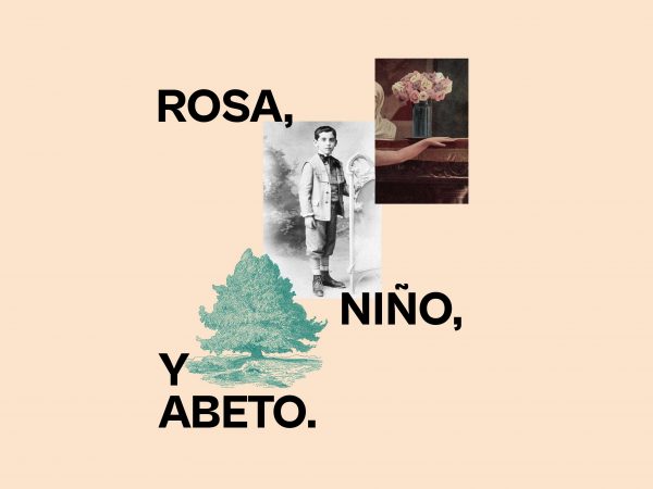 Rosa, niño y abeto